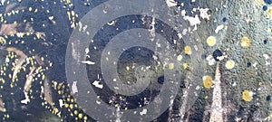 Close up of graffiti on wall of abandoned building