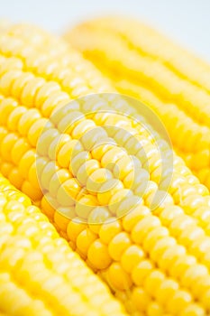 Close up grains of ripe corn