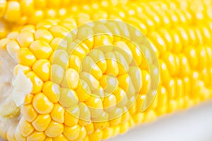 Close up grains of ripe corn