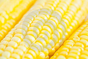 Close up grains of ripe corn