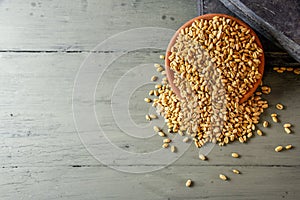 close up of grains and wheat ears on white background