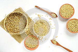 close up of grains and wheat ears on white background