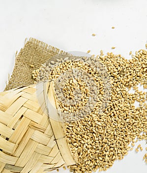 close up of grains and wheat ears on white background