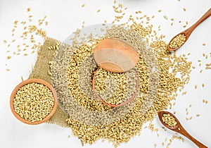 close up of grains and wheat ears on white background