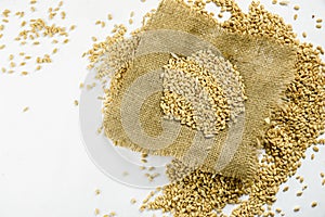 close up of grains and wheat ears on white background