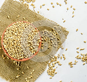 close up of grains and wheat ears on white background