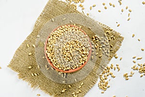 close up of grains and wheat ears on white background