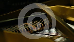Close up of grand piano hammers playing in neutral colors. Media. The damper mechanism in the grand piano, pressing the