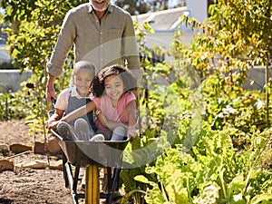 Close Up Of Grandchildren Pushed In Barrow By Grandfather Working In Vegetable Garden Or Allotment 