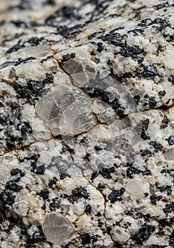Close-up of a granite rock surface, displaying a coarse-grained texture. It features
