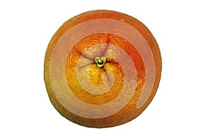 Close up of grapefruit on white isolated background, orange citrus, fresh summer mood.