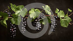 Close up of grapes hanging on branch. Generative AI