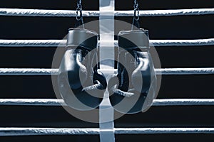 Close up graph of boxing gloves, illustrating intensity and focus in combat sports