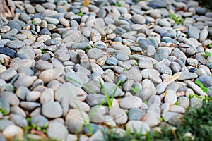 Close up of gray and dark blue smooth river rock. Selective focus