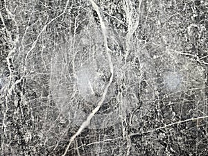 Gray Marble Texture with White Veins