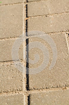 Close-up gray square pavement slabs.