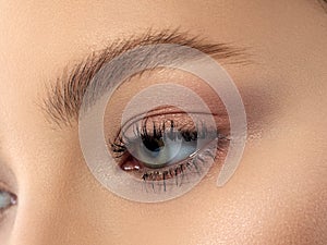 Close up of gray woman eye