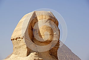 Close-up of The Great Sphinx of Giza
