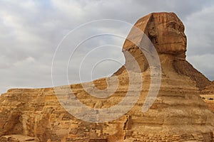 Close-up of Great Sphinx of Giza in Cairo, Egypt