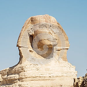 Close up of Great Sphinx of Giza, Egypt. Limestone statue of a reclining sphinx, mythical creature with the body of a lion and the