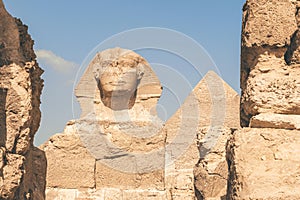 Close up of Great Sphinx of Giza, Egypt. Limestone statue of a reclining sphinx, mythical creature with the body of a lion and the