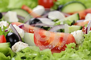 Close up Greek salad with tomatoes, Feta cheese and olives