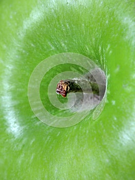 Close up green apple under the light