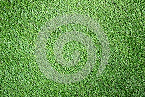 Close up Green artificial grass textures background