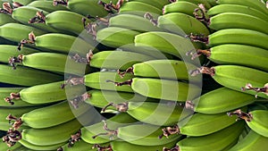 Close up of green bananas pattern background