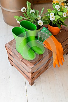Close-up of green boots, with flowers in pot, rubber green boots and gardening tools, wooden basket, gloves and seedling