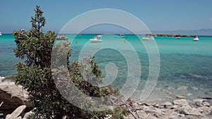 Close-up green bush on rocky coast with blurred yachts in blue lagoon at background. Seascape on Cyprus island on sunny