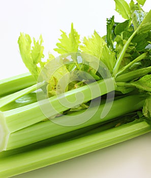 Close up of green celery over white background created using generative ai technology