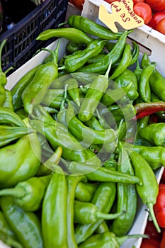 Close-up of green chili pepper in store