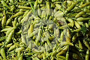 Close-up of green chillies mixed. Close up top view of freshly harvested green chillies  displayed in market for sale.