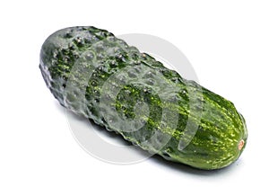 A close-up of a green cucumber. A whole and fresh cucumber on a white background. Tasty vegetables for healthy salads.