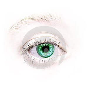 Close up of a green eye