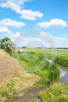 Close up of green fresh willow branches on the nature. Selected focut