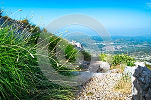 Green grass near tourist trail to mausoleum of Njegos against Cetinje city and blue sky background. Lovcen National Park.