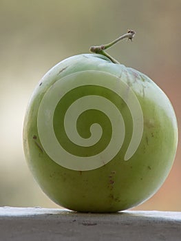 Close up of Green Indian Ber, Ziziphus mauritiana, also known as Chinese Date/Apple