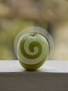 Close up of Green Indian Ber, Ziziphus mauritiana, also known as Chinese Date/Apple