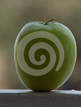 Close up of Green Indian Ber, Ziziphus mauritiana, also known as Chinese Date/Apple