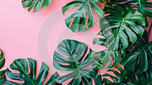 A close up of a green leafy plant on pink background, AI