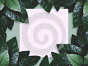 Close up green leaves with water drops over grey color and white card