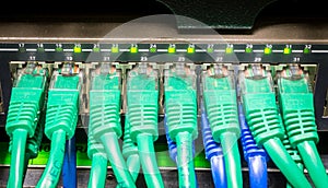 Close up of green network cables connected to