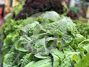 Close up of green and purple lettuce leaves at a local farm stand