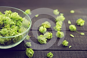 Close up of green ripe hop cones in a glass bowl over dark rustic wooden background. Beer production ingredient.
