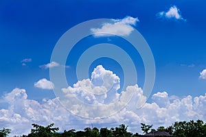 Green tree top with roof of home over on  beautiful blue sky and big clouds group for background