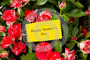 Close-up of greeting card with text happy mothers day and beautiful bouquet of pink red roses spray roses flowers