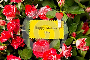 Close-up of greeting card with text happy mothers day and beautiful bouquet of pink red roses spray roses flowers