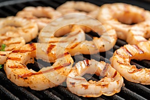close-up of grill lines on lightly browned calamari rings
